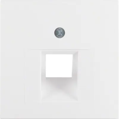 Berker center plate pws 14071909