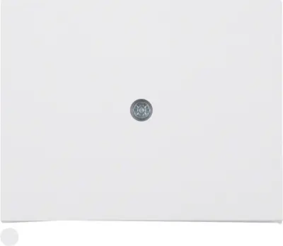 Berker Sredinska plošča pws 10057009