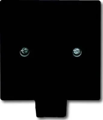 Busch-Jaeger Centralna plošča anth 2133-35