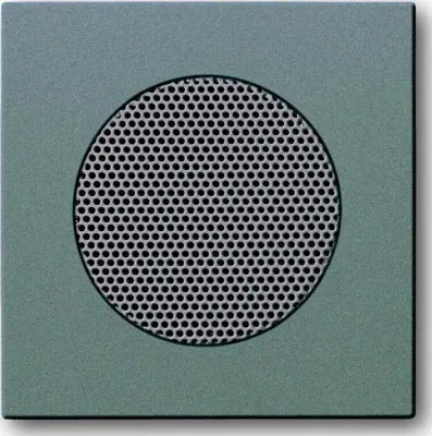 Busch-Jaeger Centralni disk meteor/gr 8253-803