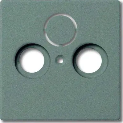 Busch-Jaeger Centralni disk meteor-gr 1743-803