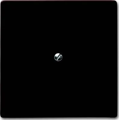 Busch-Jaeger Slepi centralni disk br 2138-31