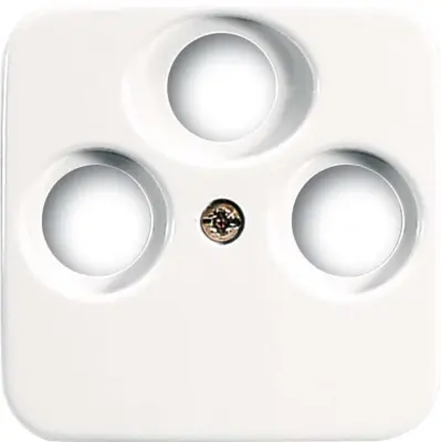 Busch-Jaeger Sredinska plošča aws 1743-03-214