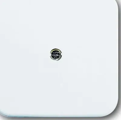 Busch-Jaeger osrednji disk aws VDo 2536-214