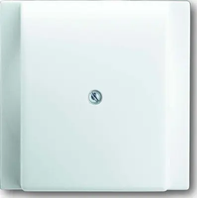 Busch-Jaeger Centralni disk aws 1749-74