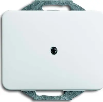 Busch-Jaeger Centralni disk sws 1742-24G
