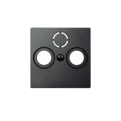 Merten sredinska plošča anth 297514