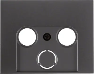 Berker Sredinska plošča ant/matt 12017016