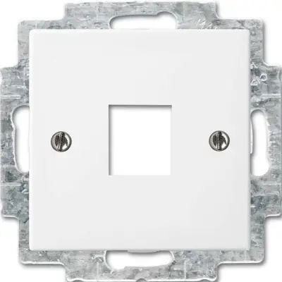 Busch-Jaeger osrednji disk alpinws 2561-914