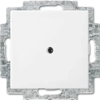 Busch-Jaeger slepi osrednji disk 2538-914