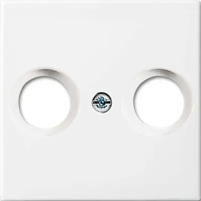 Busch-Jaeger centralni disk alpinws 2531-914