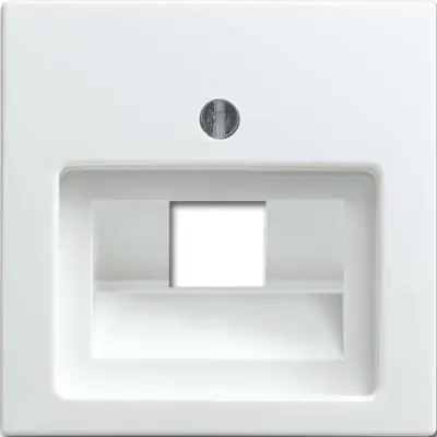 Busch-Jaeger Central disk alpinws 1803-914