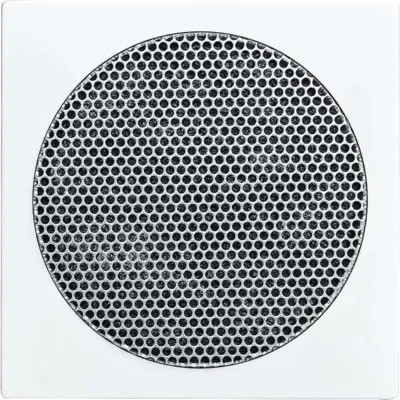 Busch-Jaeger centralni disk alpinws 8253-914