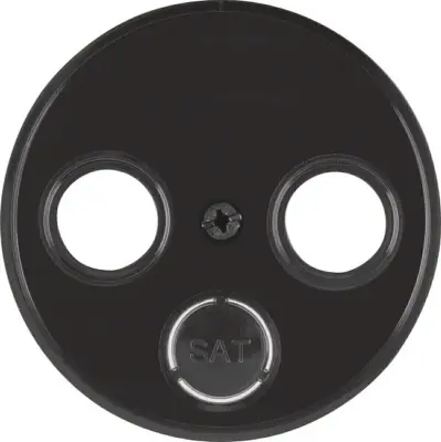 Berker sredinska plošča bw/gl 12032045