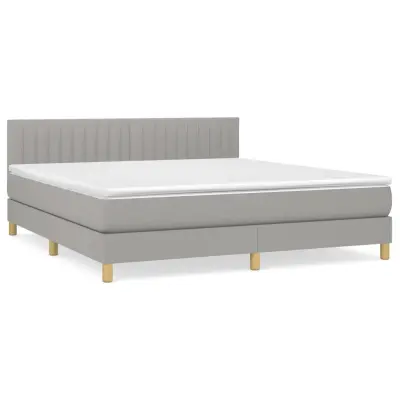 vidaXL Box spring postelja z vzmetnico svetlo siva 160x200 cm žamet