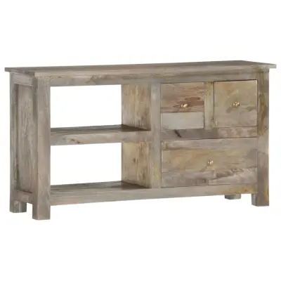 vidaXL TV omarica 100x30x55 cm trden mangov les