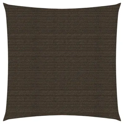 vidaXL Senčno jadro 160 g/m² rjavo 6x6 m HDPE