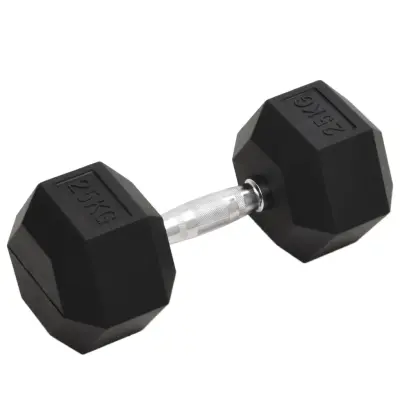 vidaXL Uteži 25 kg lito železo