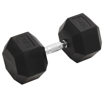 vidaXL Utež 30 kg lito železo