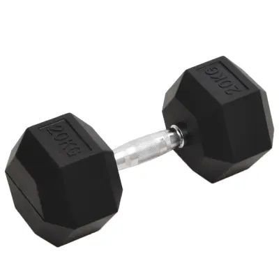 vidaXL Uteži 20 kg lito železo