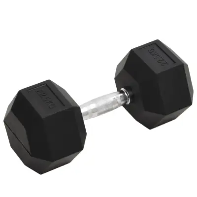 vidaXL Utež 22,5 kg lito železo