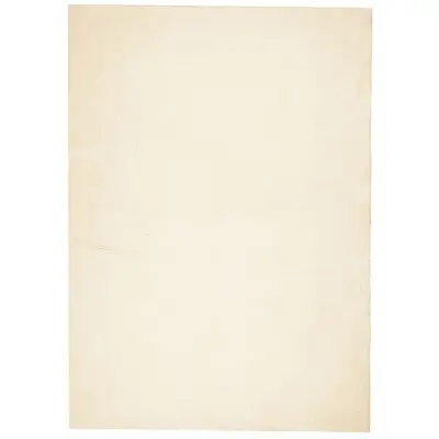 vidaXL Preproga s kratkimi vlakni mehka pralna krem 200x280 cm