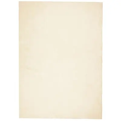 vidaXL Preproga s kratkimi vlakni mehka pralna krem 240x340 cm