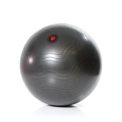 GS VADBENA ŽOGA EXERCISE BALL 65cm