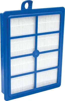 2 kosa. Electrolux AEG SDA filter Allergy Plus AFS1W