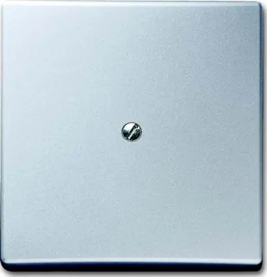 Busch-Jaeger Slepi centralni disk alusil 2138-33