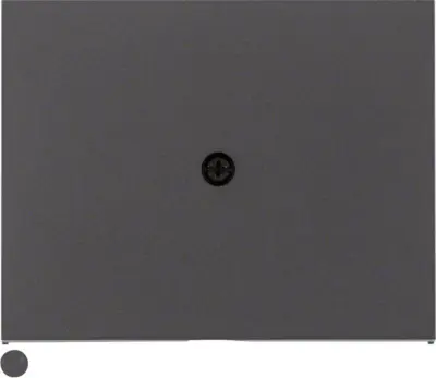 Berker Sredinska plošča 10057006