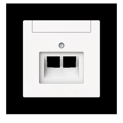 Busch-Jaeger Centralni disk 2-kanalni, ZAE 1803-02-44M