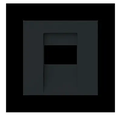 Busch-Jaeger Centralni disk 1766-45M