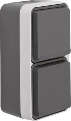 Berker SCHUKO vtičnica, 2-kanalna 47703525
