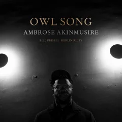 AKINMUSIRE A.- LP/OWL SONG