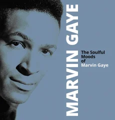 GAYE M.- LP/THE SOULFUL MOODS OF MARVIN GAYE