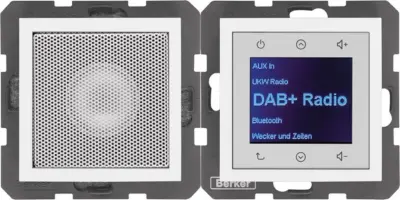 Berker radio z zvočnikom DAB+ S. 1/B.x pw. gl. 29808989