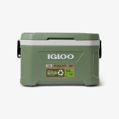 IGLOO prenosna hladilna skrinja ECOCOOL 52l