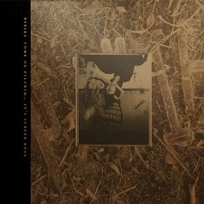 PIXIES - COME ON PILGRIM... IT'S SURFER ROSA 3CD