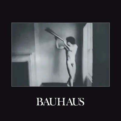 BAUHAUS - IN THE FLAT FIELD
