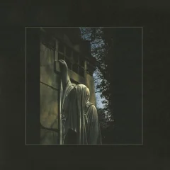 DEAD CAN DANCE - WITHIN THE REALM OF A DYING SUN