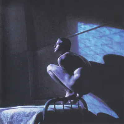 ORIGINAL SOUNDTRACK - BIRDY (PETER GABRIEL)