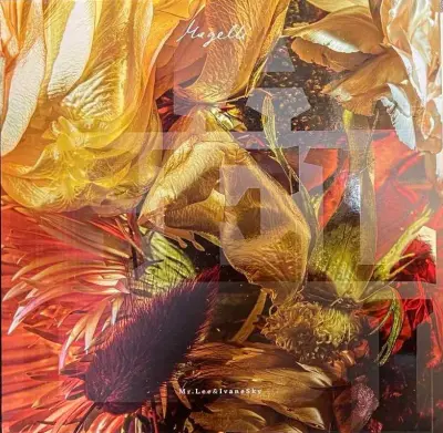 Mr. Lee & IvaneSky - Magelli - LP