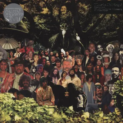 DEVENDRA BANHART - CRIPPLE CROW