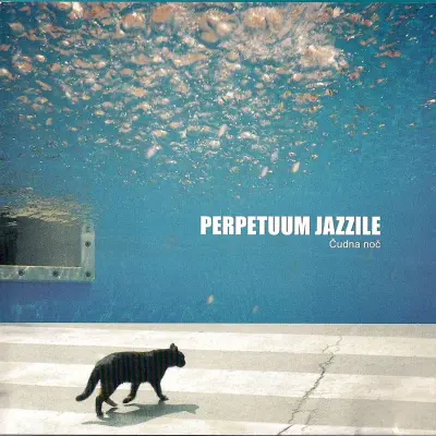 PERPETUUM JAZZILE - ČUDNA NOČ