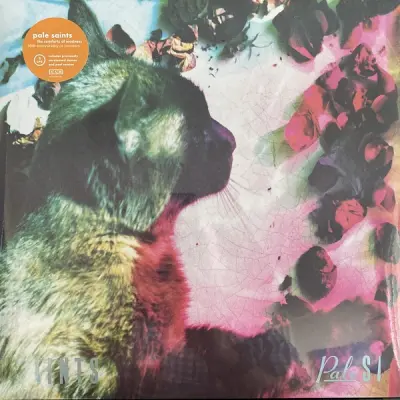 PALE SAINTS - THE COMFORTS OF MADNESS - 2LP