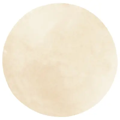 vidaXL Preproga HUARTE s kratkimi vlakni mehka pralna krem Ø 200 cm