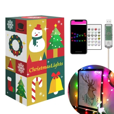 Pametni svetlobni niz bluetooth - zvezdice USB 20 RGBIC LED 2m