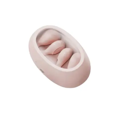 Brezžične slušalke Aigo TJ170 13MM 49h Type-C Bluetooth5.3