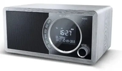 SHARP Digitalni radio DR-450 GR, siv